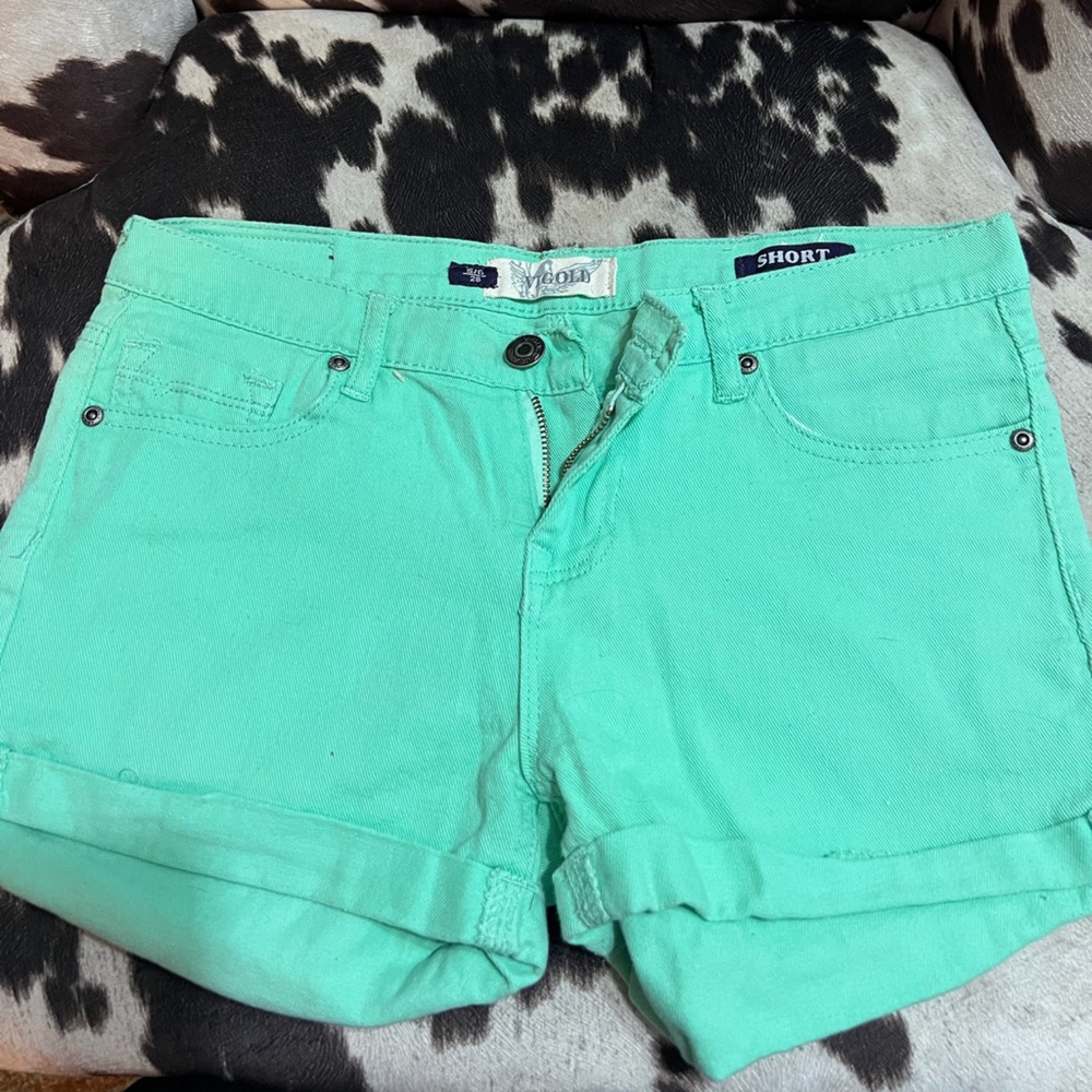 Vibrant Mint Green Jean Beach Shorts